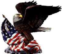 EAGLE(1).gif (15822 bytes)